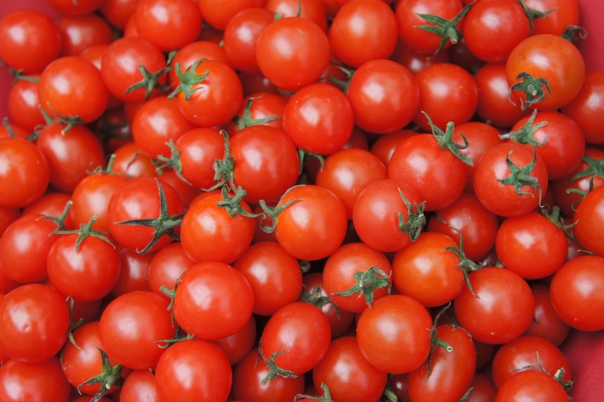 Comment faire mûrir des tomates&nbsp;?